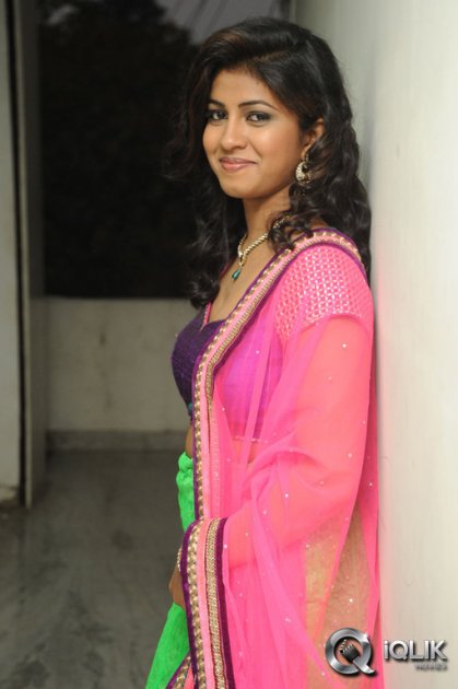 Geetanjali-at-Oka-Roju-Em-Jarigindi-Audio-Launch